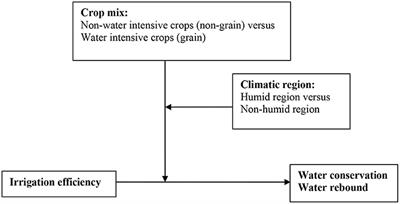 Can the Right Crop Mix Reduce the Water Rebound Effect Following Improvements in Irrigation Efficiency?